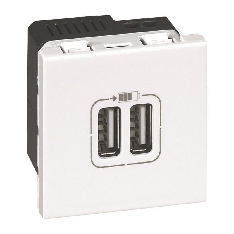 LEGRAND Prise double USB 2400 mA - 2 modules