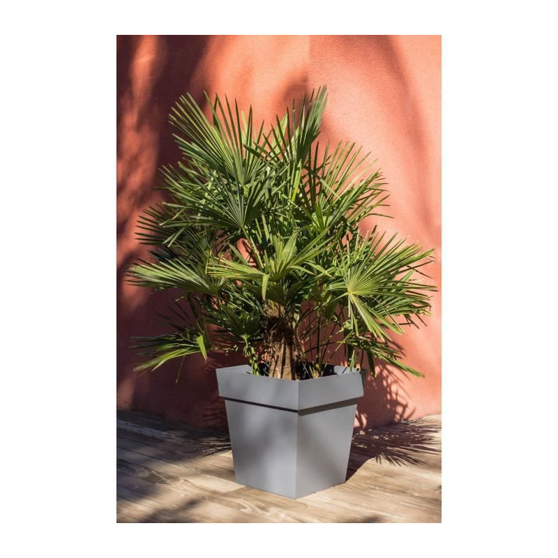 EDA Pot carre Toscane - 50 cm - 87 L - Gris Anthracite