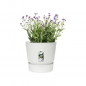 ELHO Pot de fleurs rond Greenville 30 - Exterieur - O 29,5 x H 27,8 cm - Blanc