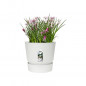 ELHO Pot de fleurs rond Greenville 30 - Exterieur - O 29,5 x H 27,8 cm - Blanc