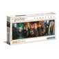 Puzzle 1000 pièces Clementoni Harry Potter Panorama