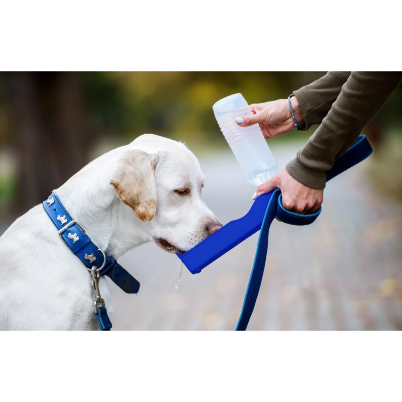 Genius Ideas Bouteille d'eau pour chien
