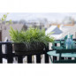 ELHO - Pot de fleurs  -  Greenville Easy Balcony 52 - Living Noir - Balcon - L 21.2 x W 52 x H 19.4 cm