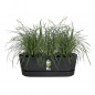 ELHO - Pot de fleurs  -  Greenville Easy Balcony 52 - Living Noir - Balcon - L 21.2 x W 52 x H 19.4 cm