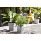 ELHO - Pot de fleurs  -  Greensense Aqua Care Carre 30 - Ciment Clair - Interieur/exterieur - O 29.5 x H 30.2 cm