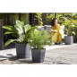 ELHO - Pot de fleurs  -  Greensense Aqua Care Carre 30 - Gris Charbon - Interieur/exterieur - O 29.5 x H 30.2 cm