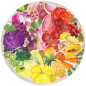 Ravensburger - Puzzle rond 500 pieces - Fruits et legumes Circle of Colors