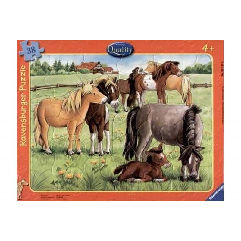 Puzzle cadre 30 48 pièces Ravensburger Modèle aléatoire