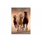 Puzzle 1000 pièces Clementoni High Quality Horses