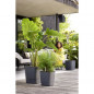 ELHO - Pot de fleurs  -  Greensense Aqua Care Carre 38 - Gris Charbon - Interieur/exterieur - O 38 x H 38.9 cm