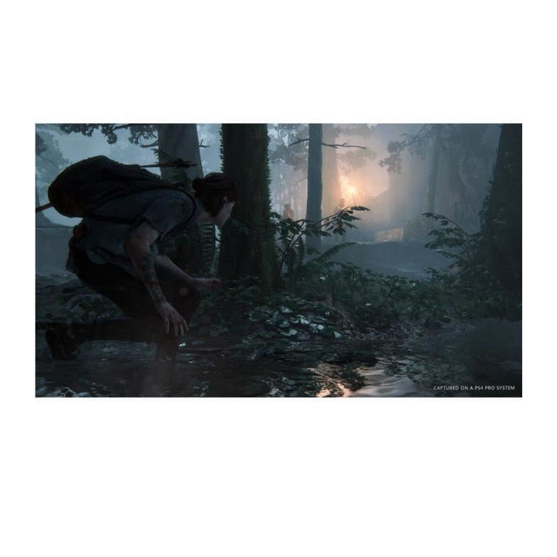 The Last of Us Part II Jeu PS4