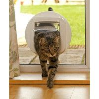 Chatiere Et Trappe Chat Gpasplus