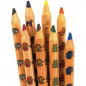 Crayola 8 Maxi crayons de couleur