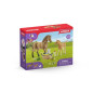 Schleich - Les soins pour bébé animaux d'Horse Club Sarah - 42432