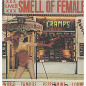 Smell of female