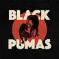 Black Pumas Vinyle Coloré