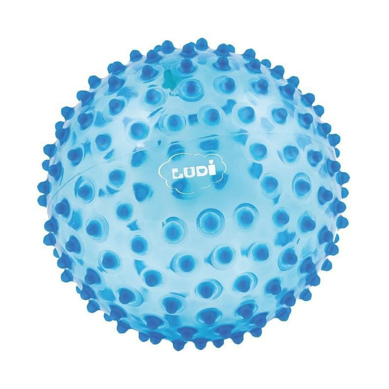 LUDI Balle Sensorielle Bleu - Diametre 20 cm