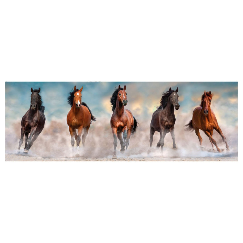 Clementoni Panorama Puzzle Horses, 1000st.