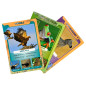 IDENTITY GAMES Wildlife Facts Quartet