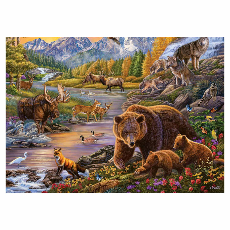 RAVENSBURGER Wilderness, 500pcs.