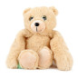 Toi-toys - Bear Plush Toy with Weighted Arms 75850Z