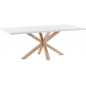 TABLE DE SALON LF ARYA-CC1311L05-NATUR