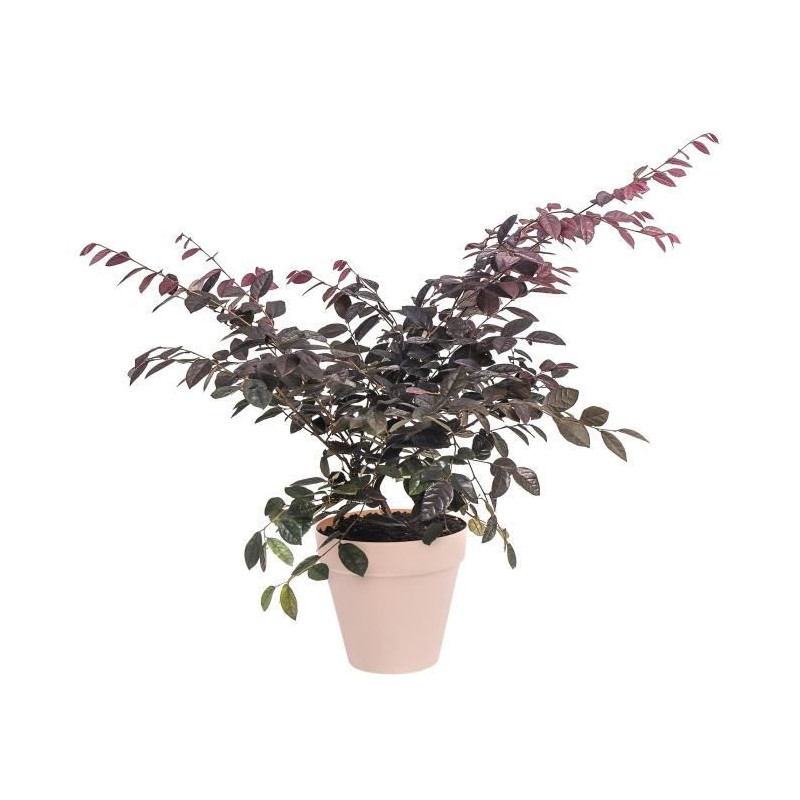 ELHO Pot de fleurs rond Loft Urban - Ø 30 cm - Fruits rouges