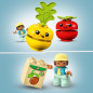 LEGO® Duplo 10982 Le tracteur des fruits et légumes