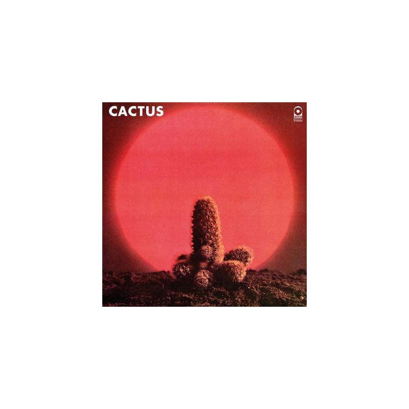 Cactus Vinyle Rouge Translucide