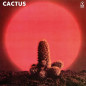 Cactus Vinyle Rouge Translucide