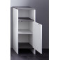 trendteam smart living Armoire de toilette avec beaucoup d'espace d'rangement, Blanc/Argent fumée, 32 x 82 x 99 cm