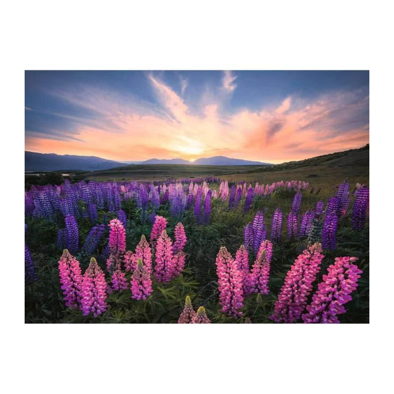 Puzzle 500 p Les lupins