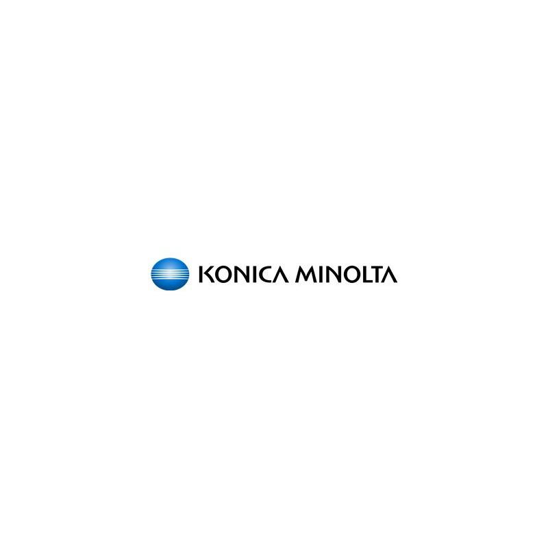 Konica-Minolta KonicaMinolta Developer DV-614 DV614 Black Schwarz (A3VX600)