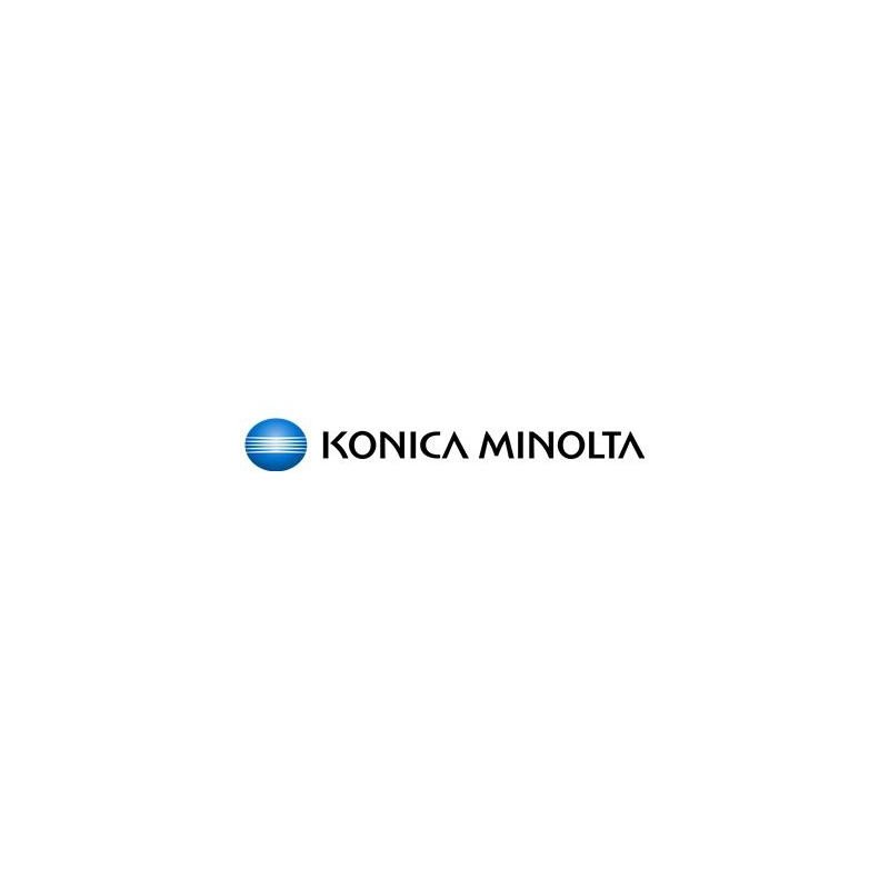 Konica-Minolta KonicaMinolta Developer DV-313 DV313 Magenta (A7U40ED)