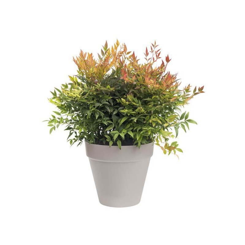 ELHO Pot de fleurs rond Loft Urban - Ø 20 cm - Gris chaud