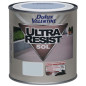 VAL.SOLS ULTRA RESIST.0.5L GRIS CLAIR DULUX VALENTINE - 5096993