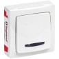 ASL POUSSOIR LUMINEUX BLANC 6A LEGRAND - 097610