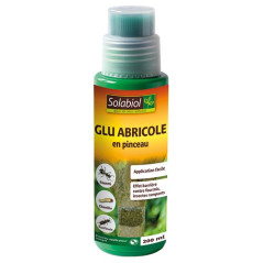 SOLABIOL GLU ARBORICOLE EN PINCEAU 200ML /NC SOLABIOL - SOGLU2