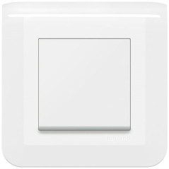 LEGRAND MOSAIC POUSSOIR 6A BLANC COMPLET LEGRAND - 099202