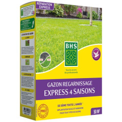 BHS SEMENCES GAZON REGARNISSAGE 4S 1KG /NC BHS - GRES1