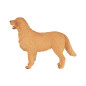 Mojo Farmland Golden Retriever - 387198 387198