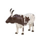 Mojo Farmland Texas Longhorn Bull - 387222 387222