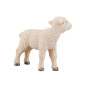 Mojo Farmland Lamb - 387098 387098