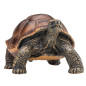 Mojo Wildlife Giant Tortoise - 387259 387259