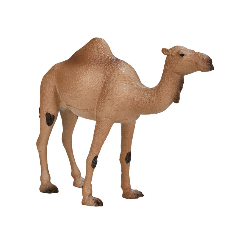 Mojo Wildlife Arabian Camel - 387113 387113