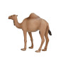 Mojo Wildlife Arabian Camel - 387113 387113