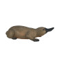 Mojo Wildlife Platypus - 387106 387106