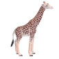 Mojo Wildlife Giraffe Male - 381008 381008