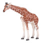 Mojo Wildlife Giraffe Female - 381033 381033