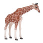 Mojo Wildlife Giraffe Female - 381033 381033